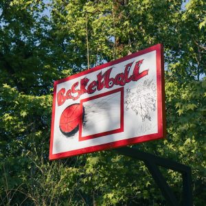 a red and white sign hanging from the side of a tree